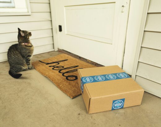 Subskrypcja w e-commerce – nowoczesny model sprzedaży online